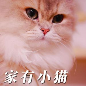 我家Fermi