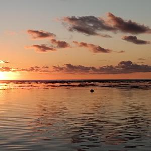 Un phare dans le déluge