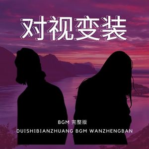 对视变装