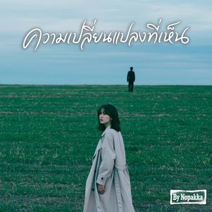 ความเปลี่ยนแปลงที่เห็น