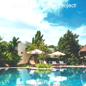 In the Bleak Midwinter - Christmas at the Beach