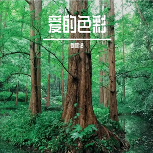 花海之恋