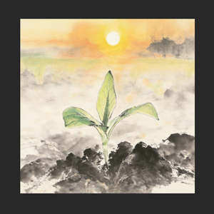 "破土"中国风&R&B Type Beat