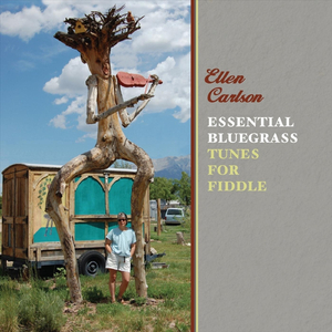 Shenandoah Valley Breakdown