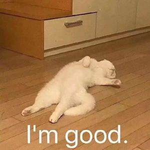 去追一只鹿（男生版）