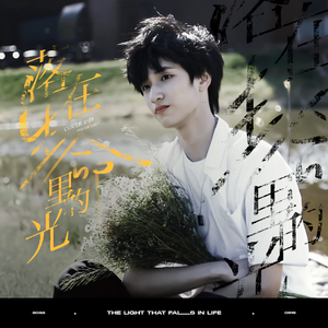 落在生命里的光