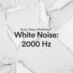 Noise for the Dreamers