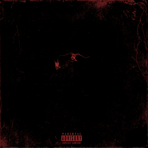 Solo Dentro Freestyle