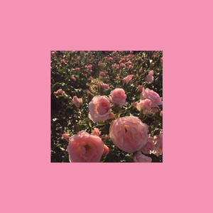 【FREE】'Romantic' Soul × BROCKHAMPTON Type Beat