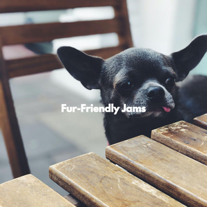 Cultured Ambience for The Jazz Corner