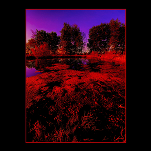 Philpot Nocturne #32 Homopteran Chant