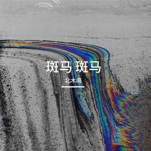 斑马，斑马