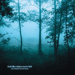 feels like winter never left