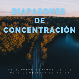 Corrientes De Concentración