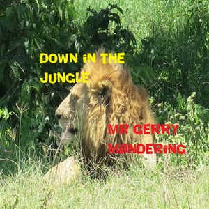 Down in the Jungle