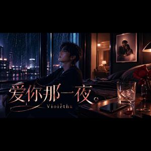 爱你那一夜 (The Night I Loved You)