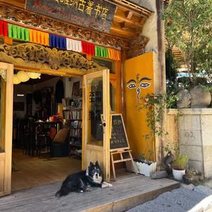 今生只为遇见你