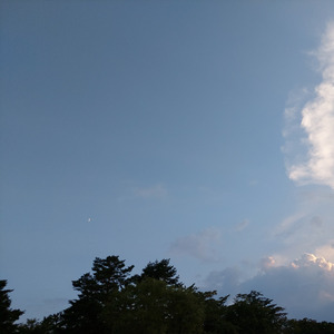 分かってない！