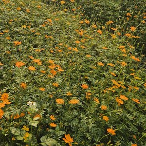 从此以后不再爱