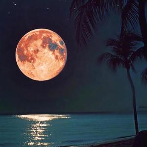 月光随笔（Prod By YoungiAn）