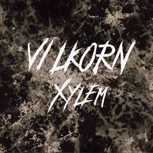 Xylem