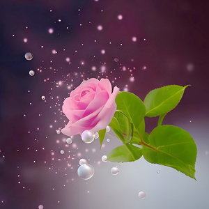 不负好时光 (治愈钢琴曲)