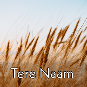 Tere Naam