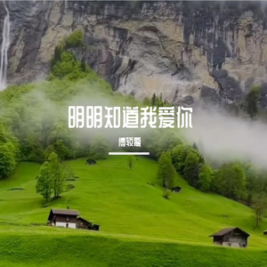 明明知道我爱你