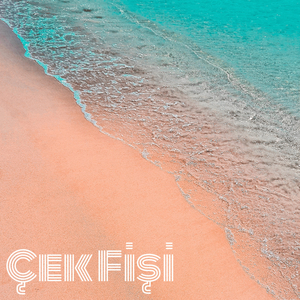 Çek Fişi