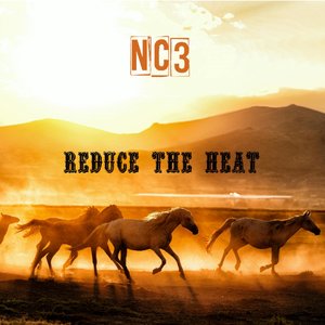 Reduce the Heat