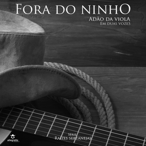 Homenagem aos Cururueiros