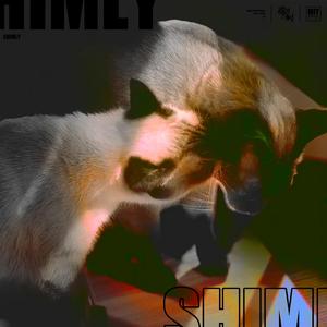 Shmily