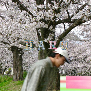 HARU