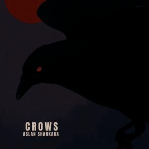 crows