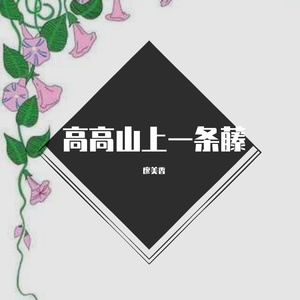 高高藤上一条藤