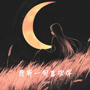 我有一句喜欢你