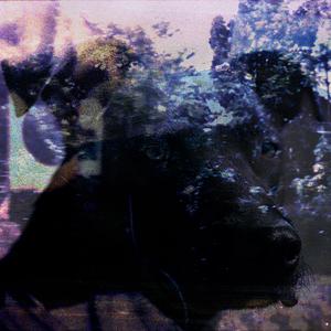 Midnight Souls (Broken Lip Remix)