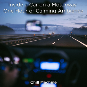 Inside a Car on a Motorway