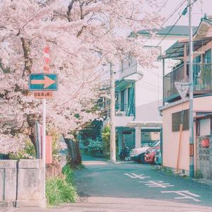 夏日暖气流(FREE)Lofi hiphop beat