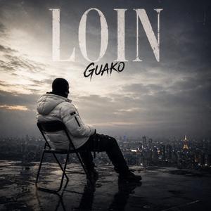 Loin