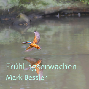 Frühlingserwachen