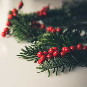 kissing under the mistletoe