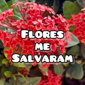 FLORES ME SALVARAM