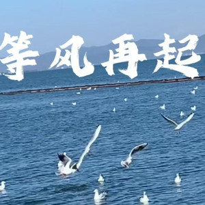 等风再起
