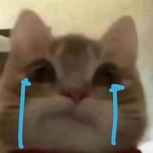 修改音质-SVID_20260530_182755_1.mp3