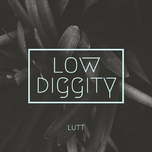Low Diggity