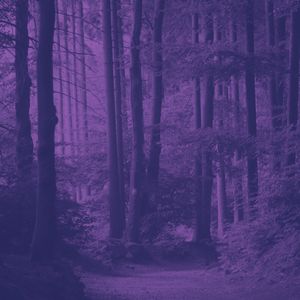 精彩准备工作环境