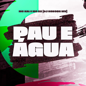 PAU E ÁGUA