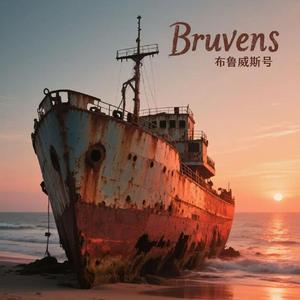 布鲁维斯号（Prod.NoBirthday）