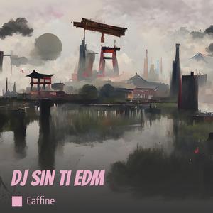 Dj Sin Ti Edm (Remix)